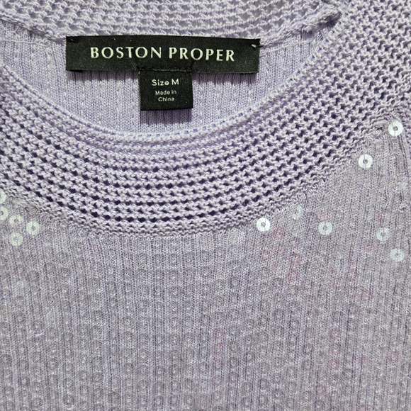 Boston Proper SEQUIN Tank - Picture 5 of 7